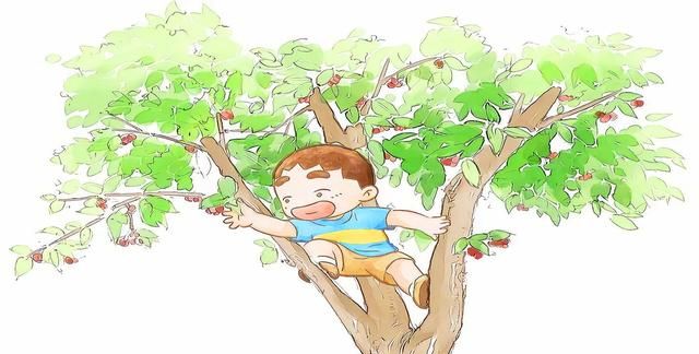 那年夏天,装在盒子里的男孩的秘密