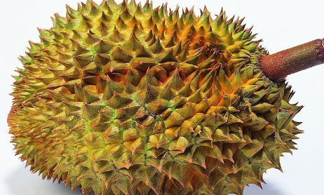 榴莲裂开一点点能吃吗
,榴莲裂开一点点就可以吃了吗图2