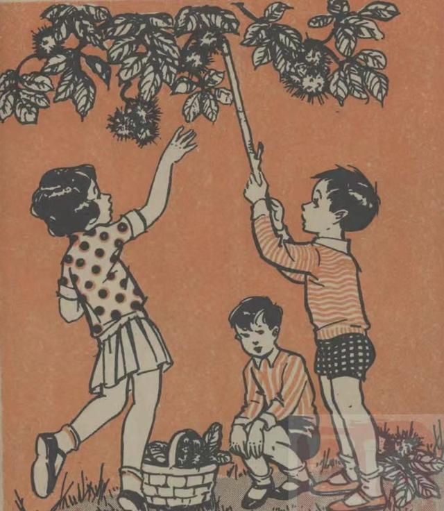 老年间儿的板栗:必须“糖炒”,不必“良乡”