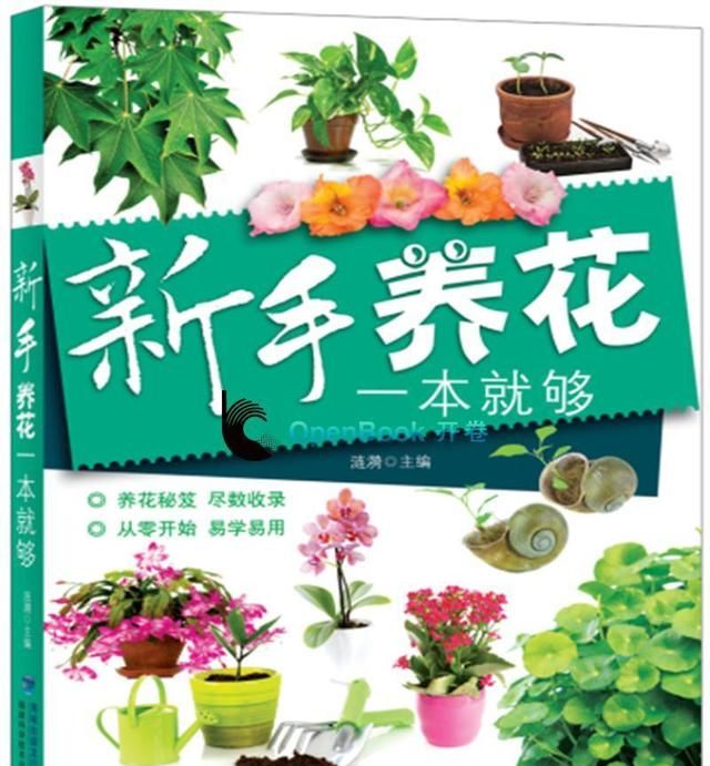 母亲节送什么好?母亲节10种礼物,超实用