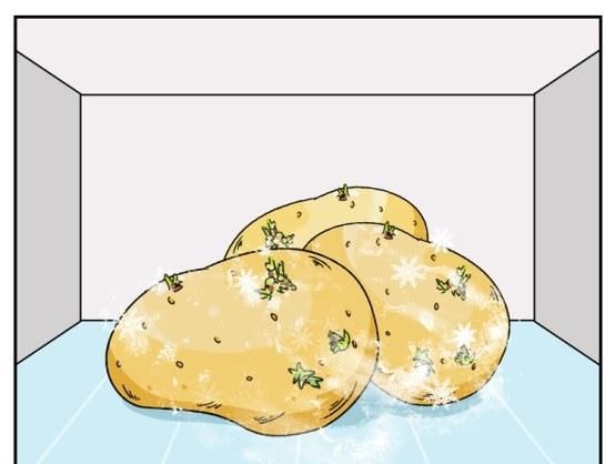蜂蜜不能放冰箱?肉冻多久要扔掉?一张表总结得清清楚楚