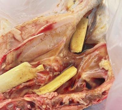 鸡肉这样做好吃又简单,全家人都爱这样做,营养又美味