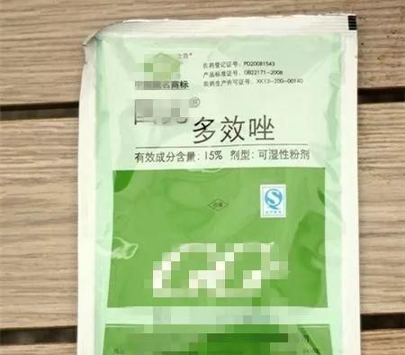 大哥养吊兰,用它兑水一喷,3个月彻底养变异