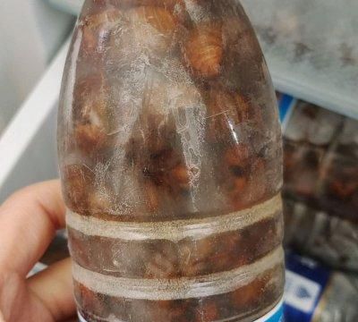 这道知了猴,家人天天求我做