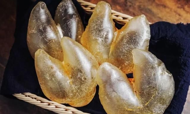 「鱼胶合集」花胶之鸡泡胶简介,鸡泡胶是什么鱼的鱼胶?
