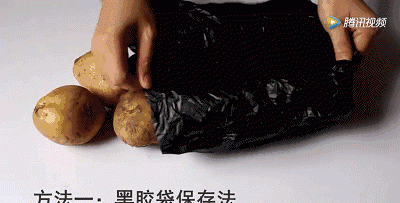 保存土豆一点也不难,教你3招,放3个月也新鲜,不发芽不发青