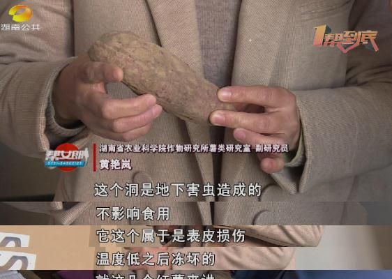 红薯长黑斑能不能吃?你想知道的都在这里
