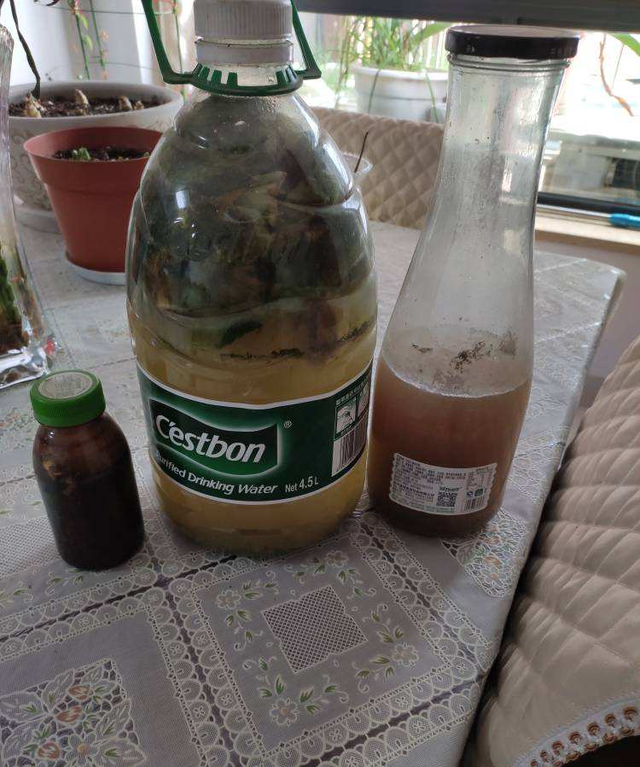 水里兑点柠檬汁,直接灌土里,花叶长得都旺盛