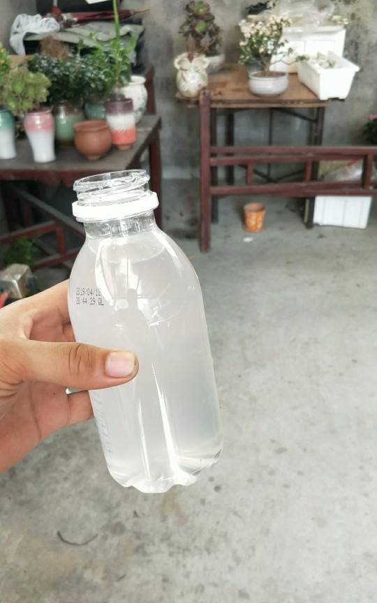 水里兑点柠檬汁,直接灌土里,花叶长得都旺盛