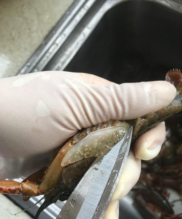 龙虾怎么炒好吃又简单的做法视频图8