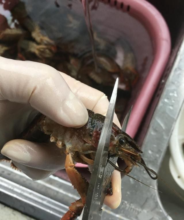 龙虾怎么炒好吃又简单的做法视频图12