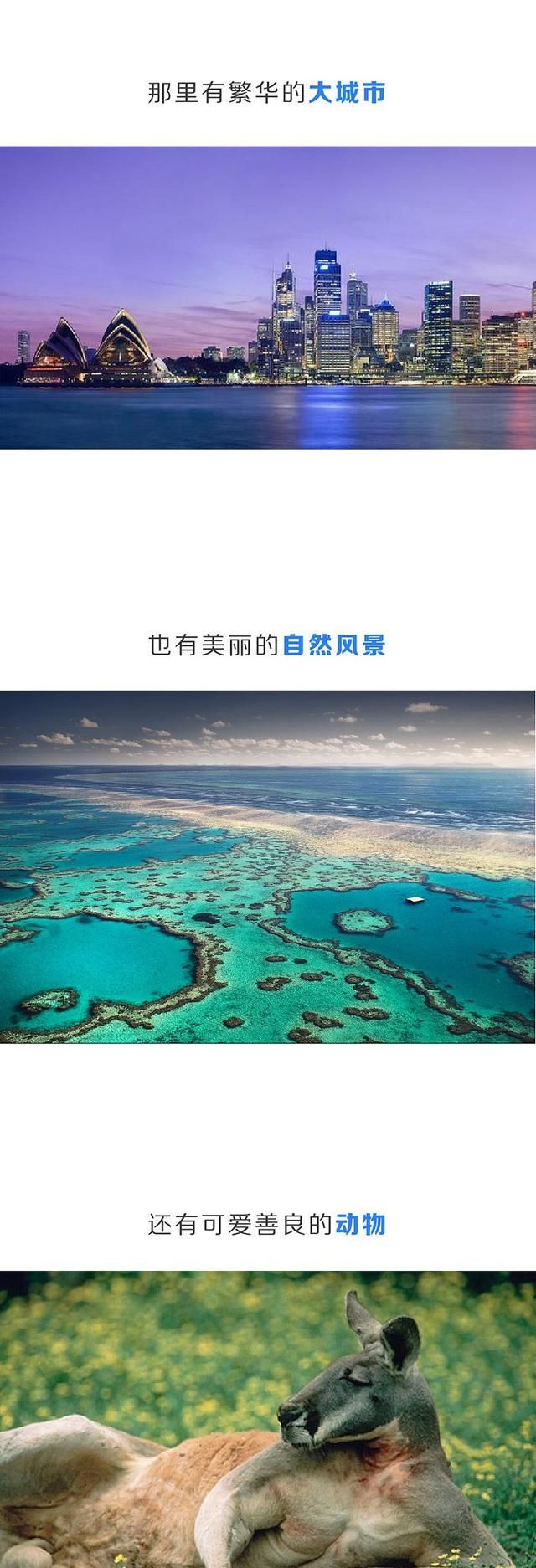 最初是英国的大监狱,三分钟了解澳大利亚历史