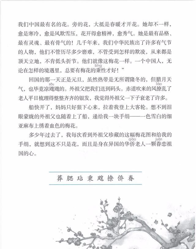 统编版五年级下册《4.梅花魂》知识点