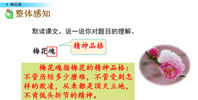 统编版五年级下册《4.梅花魂》知识点